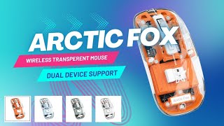 Why you need an Arctic fox transparent wireless mouse [upl. by Acinorrev576]