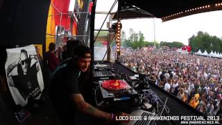 Loco Dice  Awakenings Festival 2013 [upl. by Aisak]