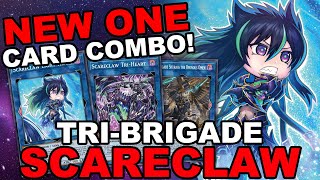 NEW SCARECLAW TRIBRIGADE MULTIPLE BROKEN 1 CARD COMBOS Combo Guide  Deck YuGiOh Master Duel [upl. by Yderf37]