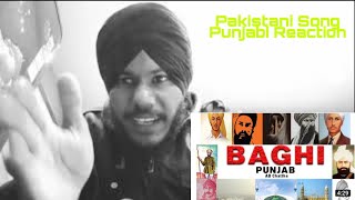 Baghi punjab By Pakistani Singer AB Chattha Reaction Video [upl. by Ffej]