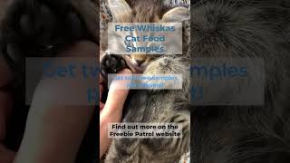 Free Whiskas Cat Food Samples [upl. by Felicity673]