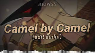 Camel by Camel Edit Audio [upl. by Elfont]