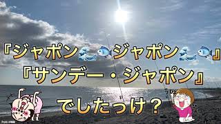 YOUTUBERの、AKINORIさんの道具のアイデアをパクリました🤓✨その名を、『AKINORIジャポンハンガー』セクシーショット有り🦶 [upl. by Hera]