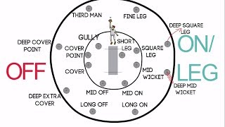 Fielding Positions in Cricket for Right Handed Batsman  Long ONOFFMid WicketFine LegSquare Leg [upl. by Aneez]