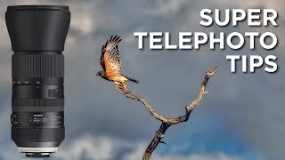 Super Telephoto Lens Tips  Tamron 150600mm F563 VC DI G2 [upl. by Aerdnael494]