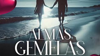 Estilo V  Almas Gemelas Video Liryc [upl. by Stoddart]