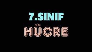 HÜCRE VE ORGANELLERİ  7Sınıf 2Ünite Kısım1 2025 [upl. by Zetnod]