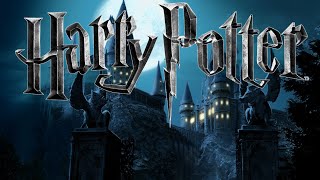 Harry Potter  Hogwarts Gate  Music amp Ambience 4k [upl. by Schreiber]