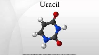 Uracil [upl. by Aicelav787]