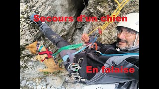 Secours dun chien en falaise canyon du Grand Vallat 04 [upl. by Aldred717]