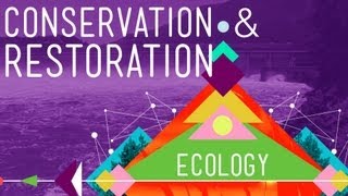 Conservation and Restoration Ecology Crash Course Ecology 12 [upl. by Riggall447]