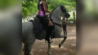 Zulema Ferrer Amazona a Caballo [upl. by Reginald]