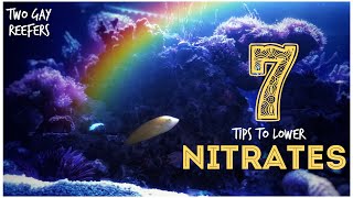 7 Tips to Lower Nitrates in a Reef Tank [upl. by Akinoj85]