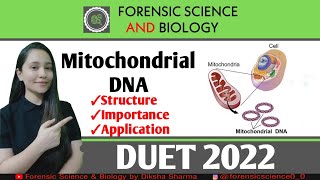 What is Mitochondrial DNA  Human Genetics  Important Genetic Topic [upl. by Jock]