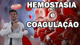 Hemostasia e Coagulação Sanguínea [upl. by Holzman]