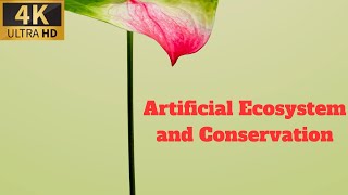 Artificial Ecosystem and Conservation  what is it [upl. by Idnahs]