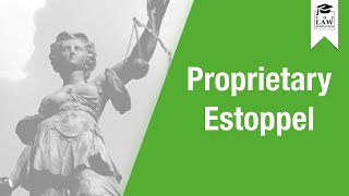 Property Law  Proprietary Estoppel [upl. by Pallaten]