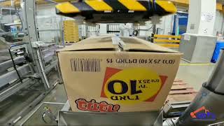 Nestle collaborative robot cobot palletizer  Edal Projects  DOOSANROBOTICS [upl. by Dine]