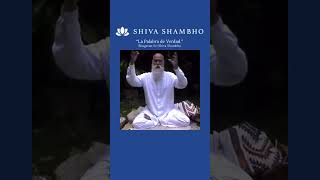 La Palabra de Verdad shivashambho shambhu verdad conocimientoespiritual [upl. by Joelynn]