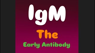 Immunoglobulin M  The Early Antibody [upl. by Orgel]