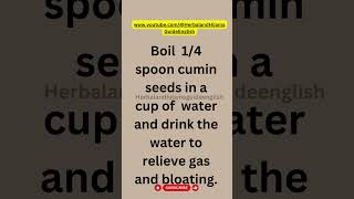 Cumin Seed Tea Natural Relief for Gas and Bloating ytshortsfeedshorts viralshort [upl. by Noroj701]