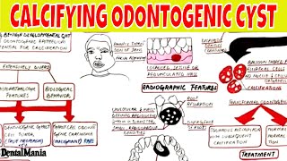 Calcifying Odontogenic Cyst  Clinical radiographic Histopathologic Features and Treatment [upl. by Atrebla561]