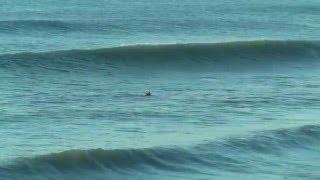 Greg Votre moniteur TY SCHOOLEcole de surf de Belle Ile en mer [upl. by Arley33]