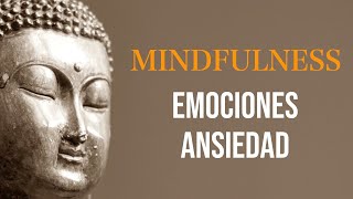 Meditación Guiada para Gestionar las Emociones y la Ansiedad [upl. by Ellimahs]