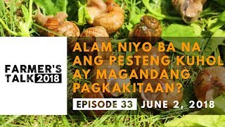 Farmers Talk Alam Niyo ba na Ang Pesteng Kuhol ay Magandang Pagkakitaan [upl. by Wassyngton]