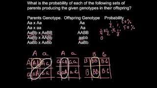 What is the probability to get specific genotype as result of the cross of the parents genotypes [upl. by Malarkey]