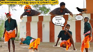 காக்காவை பார்த்து அஞ்சிய ஓடிய உறங்காப் புலி  Fun wit oldman and bird funny  fun funnyvideo [upl. by Abbye]