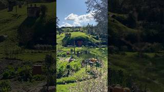 We Visited the Hobbit House from The Lord of The Rings shorts fyp [upl. by Notnek]