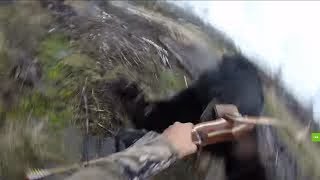 SCARY FOOTAGE Bear VS Hunter [upl. by Nawad]