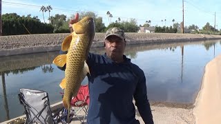 REEL FISHING ARIZONA [upl. by Id]