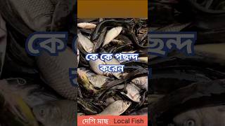 NarailKantho local fish কে কে পছন্দ করেন shorts fish [upl. by Nnaycart]