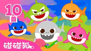 鯊魚寶寶 顏色兒歌 全曲目 合集 🌈 學顏色 Color Songs 色彩學習  臺灣配音 兒歌 童謠  Baby Shark Doo Doo 碰碰狐 Pinkfong [upl. by Burger]