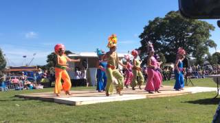 Priscilla Queen of the Desert  Ulverston Carnival 2014 [upl. by Eiclud]