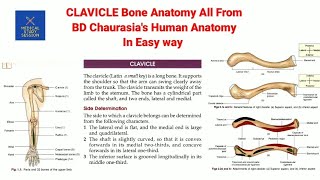 BD Chaurasias Clavicle Bone Anatomy [upl. by Ailhat]