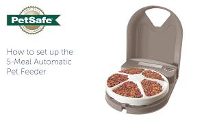 How To Setup Your PetSafe® 5Meal Automatic Pet Feeder [upl. by Tnilf]