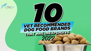 10 Vet Recommended Dog Food Brands That are Inexpensive 2022 [upl. by Armin470]