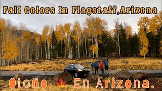 Discover The Best Place For Fall In Flagstaff Arizona  Aspen Autumn 🍂 Colors  Otoño 🍁 En Arizona [upl. by Higbee]