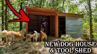 The Crockers Off Grid Tiny House amp Property Makeover  Day 4 [upl. by Annabelle]