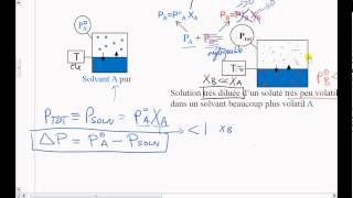 15Prop Coll  Abaissement de Pression de vapeur déquilibre [upl. by Broeder663]