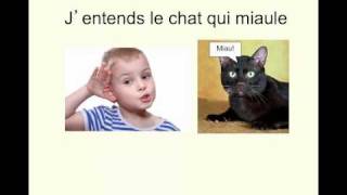 Y a un chat Charlotte Diamond [upl. by Hayidah]