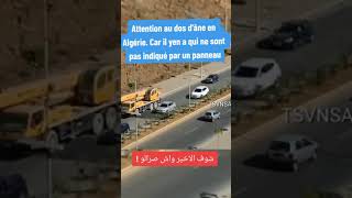 😱🇩🇿Attention les dos dâne en Algérie 😱🇩🇿 foryou pourtoi dosdane algerie dz algerien algeria [upl. by Eicnan]