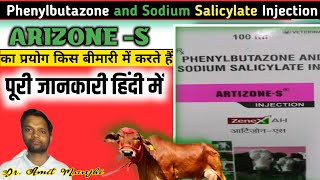 ArtizoneS आर्टिजोनएस Phenylbutazone and Sodium Salicylate Injection कौन सी बीमारी में कैसे दे [upl. by Min]