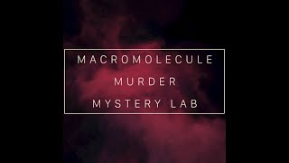 Macromolecule Murder Mystery Lab [upl. by Diann]