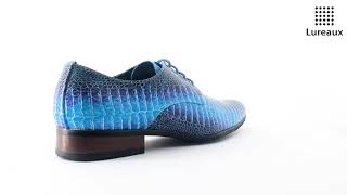 Blue Dino  Blauwe Dino Schoenen  Lureaux [upl. by Nawaj]