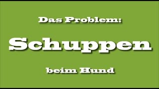 Tränenstein bei Hund entfernen Augenpflege bei weißen Hunden [upl. by Ruhnke]