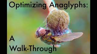 Optimizing Anaglyphs a WalkThrough [upl. by Broida61]